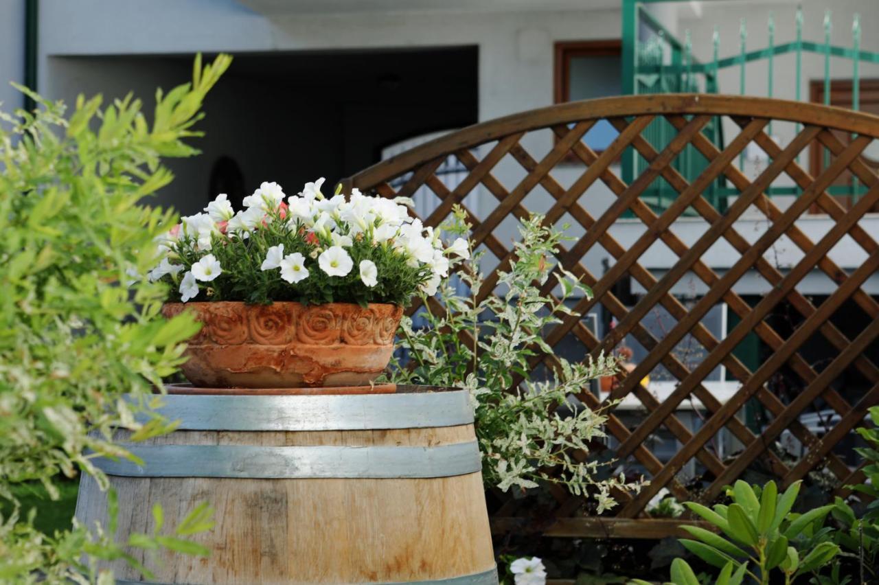 Weingut Apartment Hildegard Gangl Илмиц Екстериор снимка
